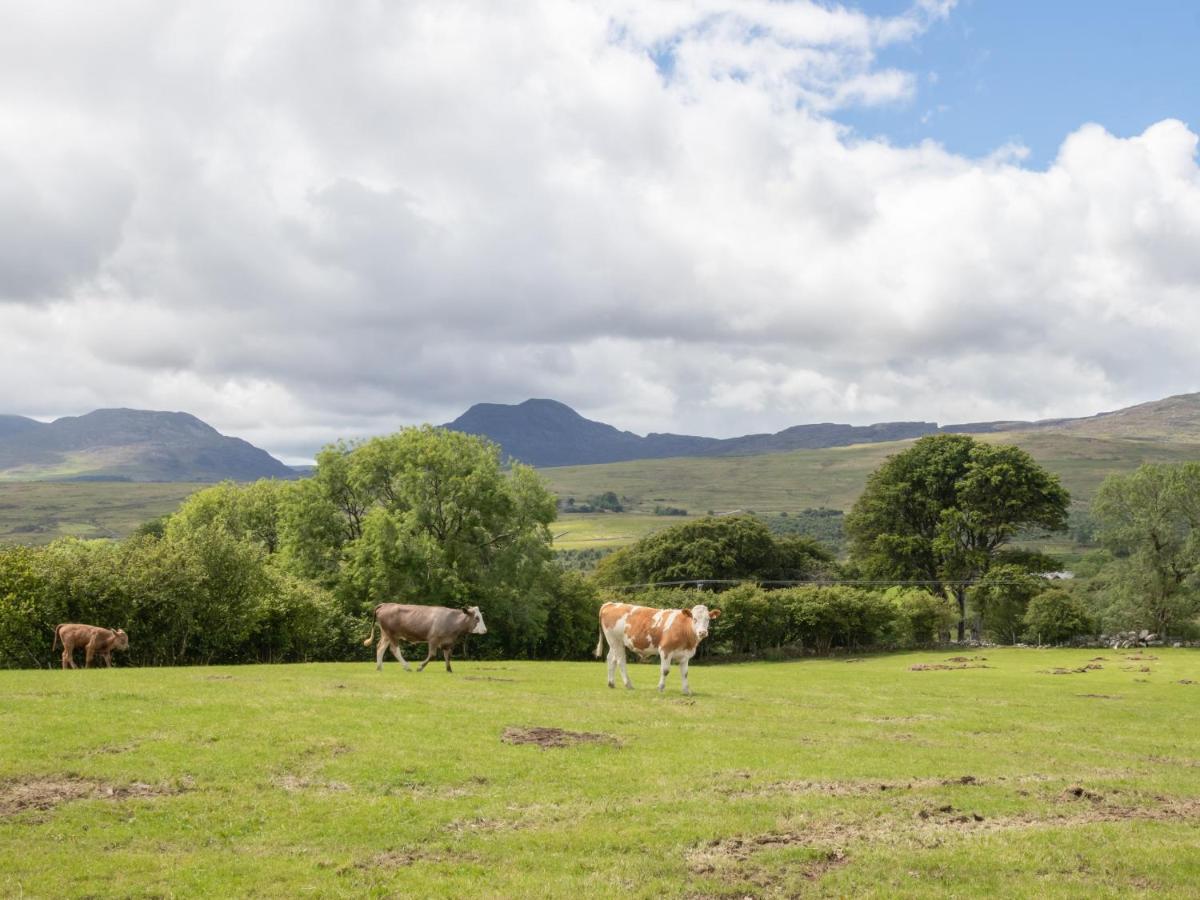 Hendre Cottage Trawsfynydd Εξωτερικό φωτογραφία